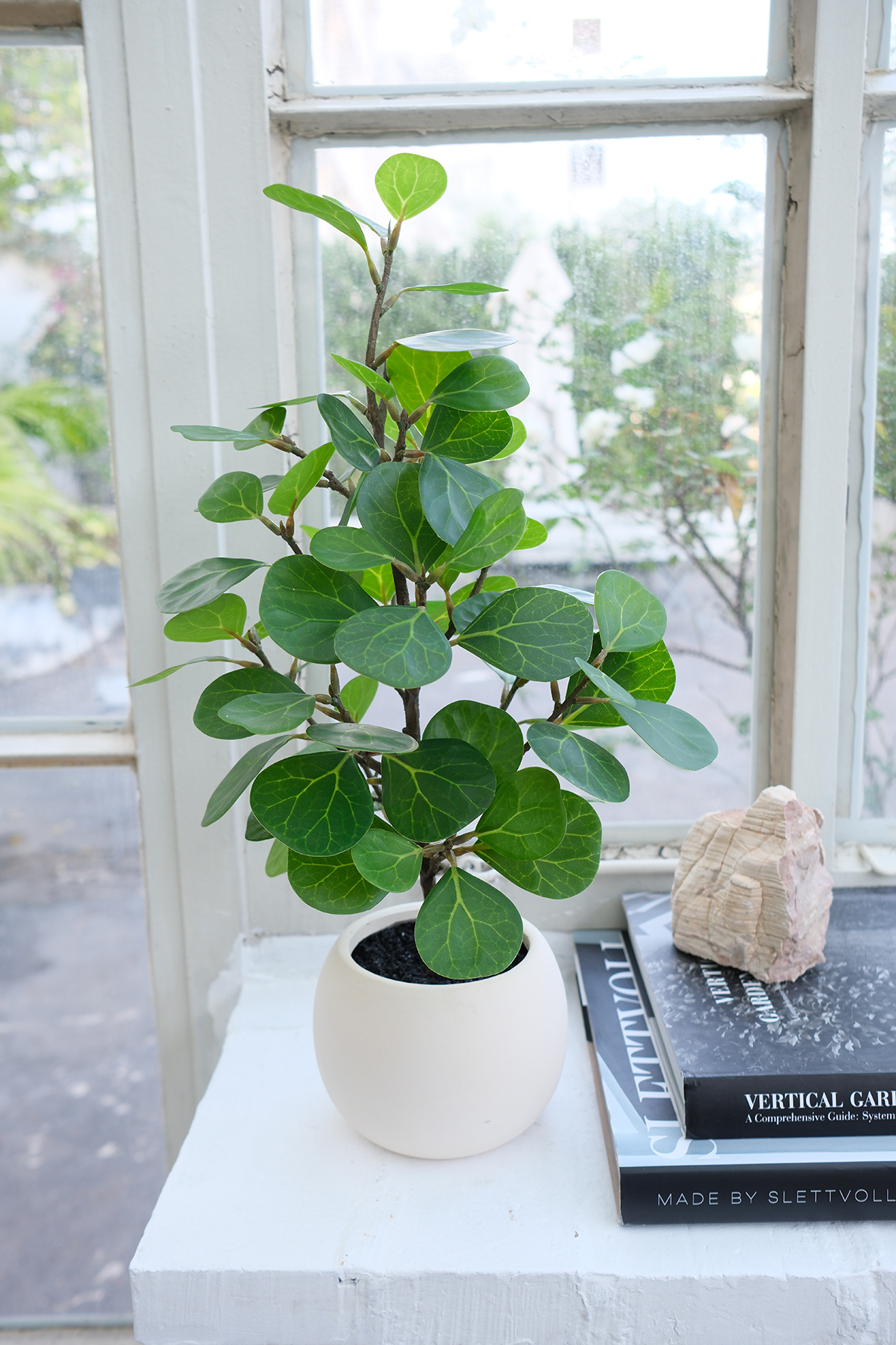 Green Plants