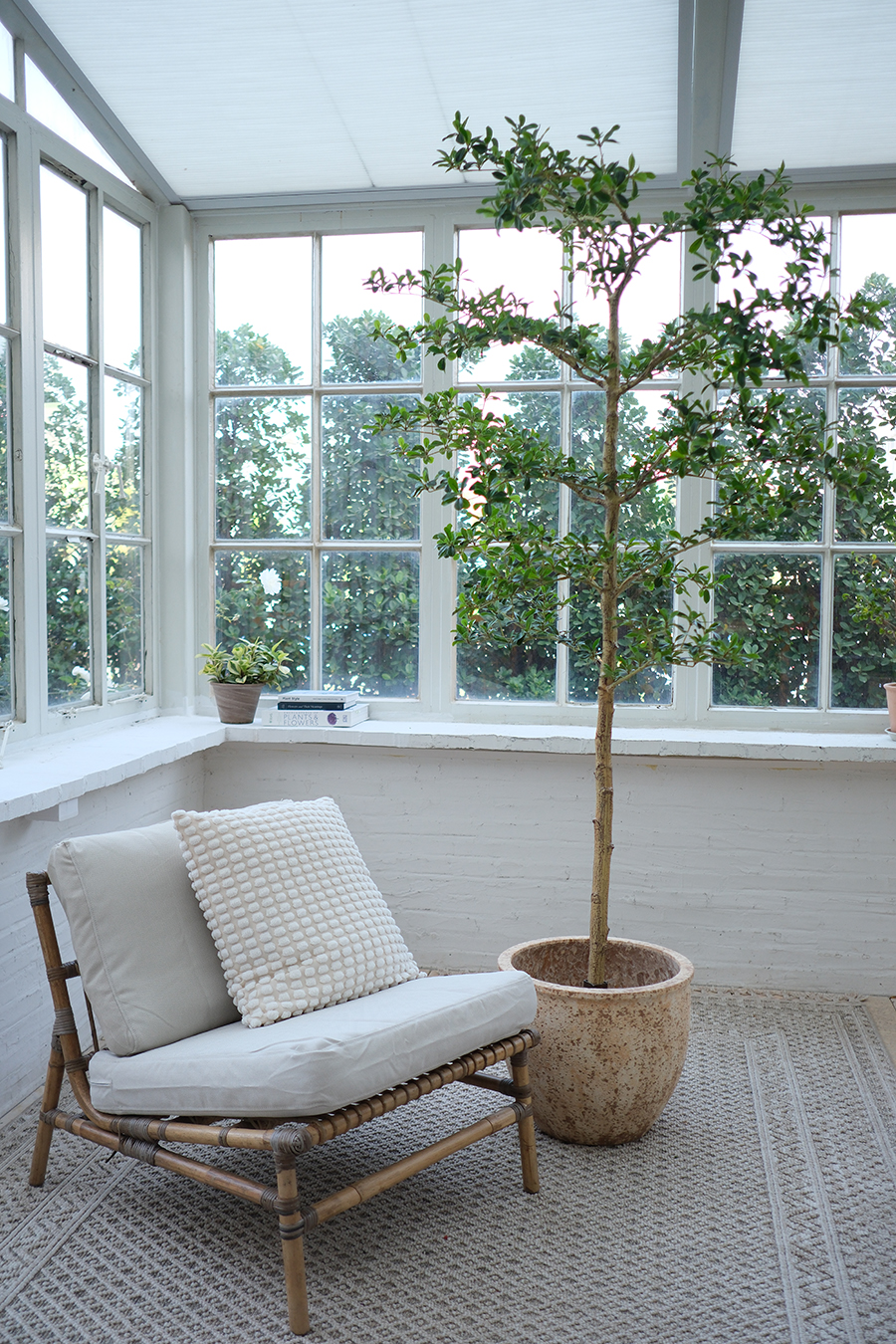 Interior trees