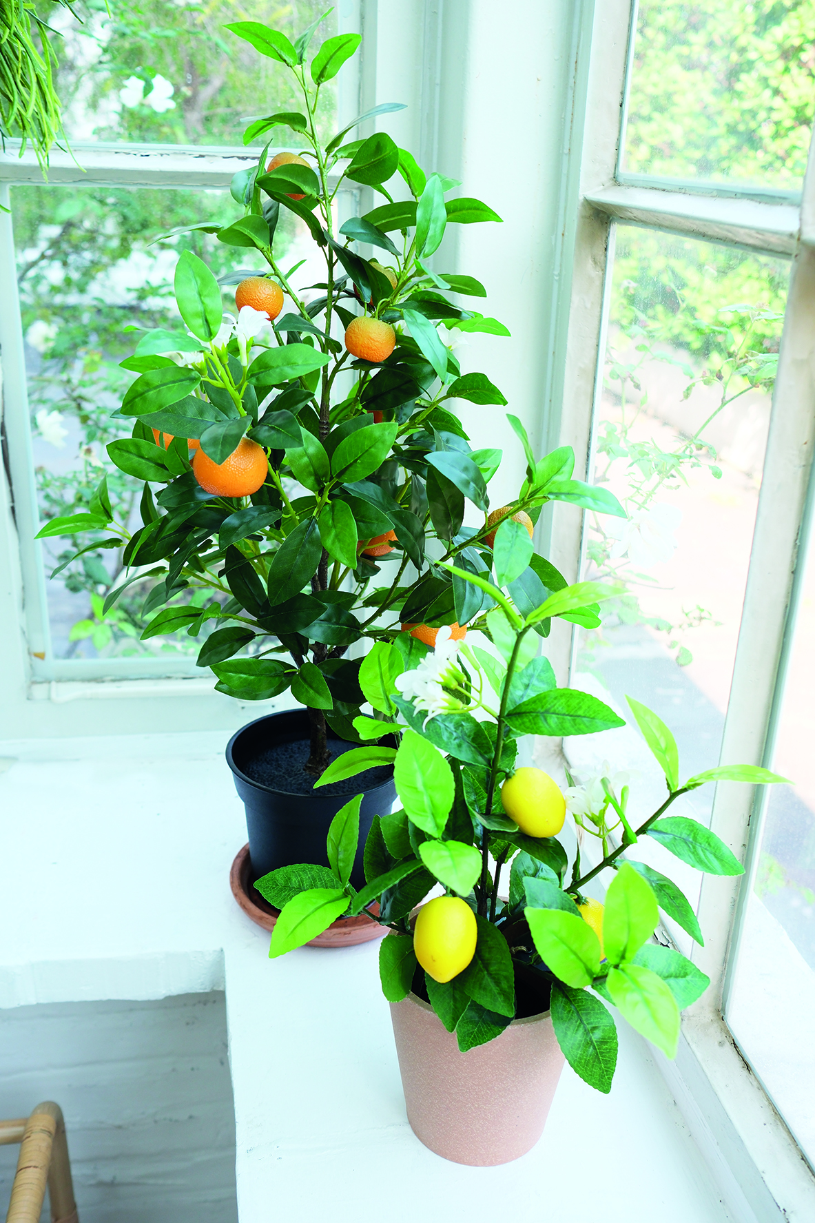 fruits