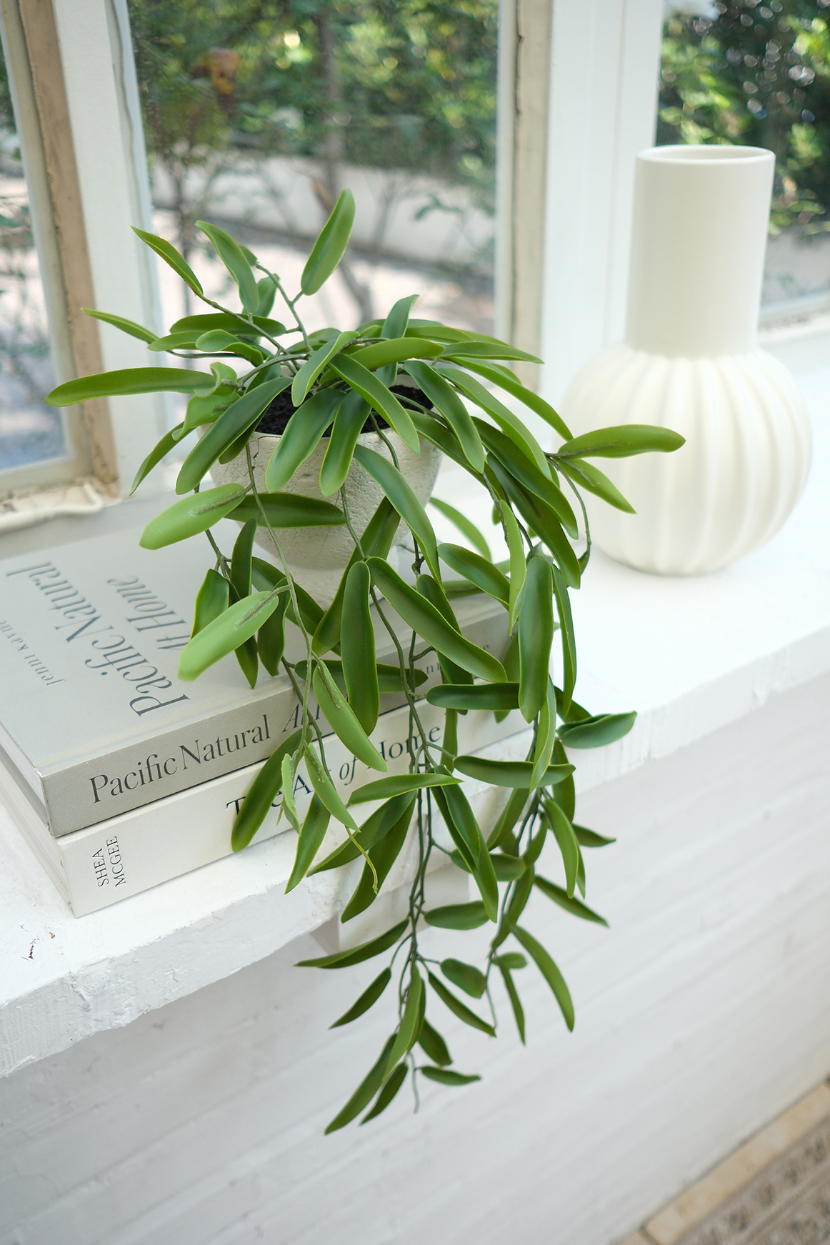 Hanging plants