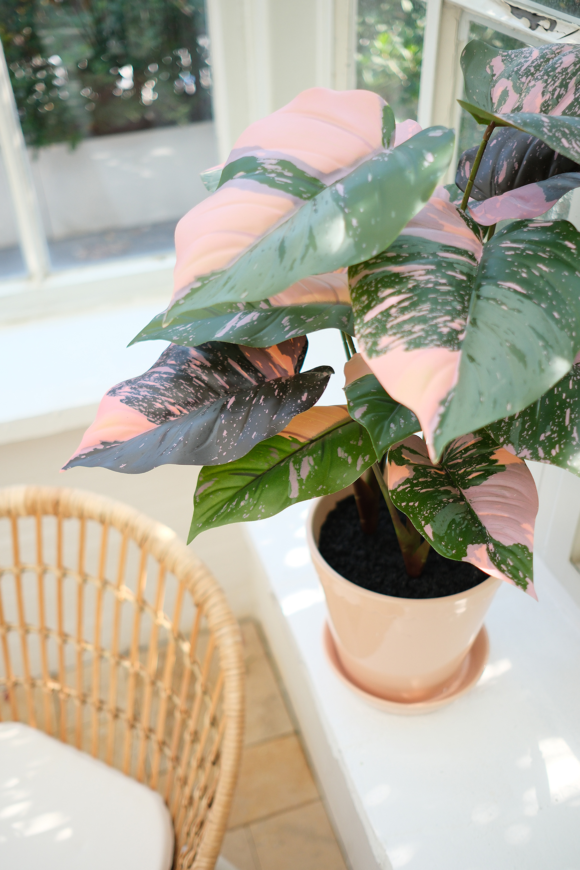 Unique leaves