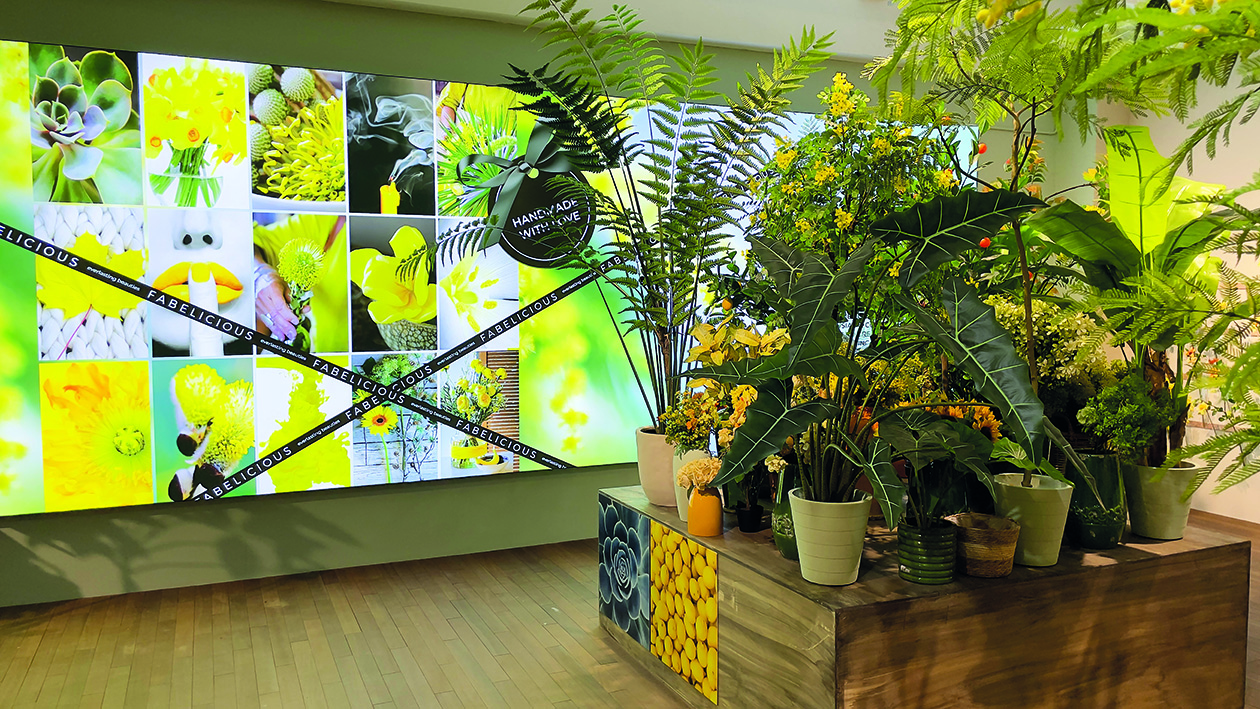 You are currently viewing Visit our new showroom