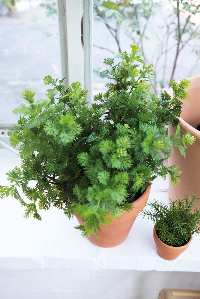 herbs